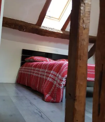 公寓 Duplex Notre Dame 巴黎
