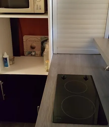 公寓 Duplex Notre Dame 巴黎